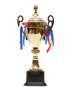 经营领域鲁班奖项